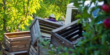 Build a Compost Bin: The Ultimate DIY Guide - Cover Image