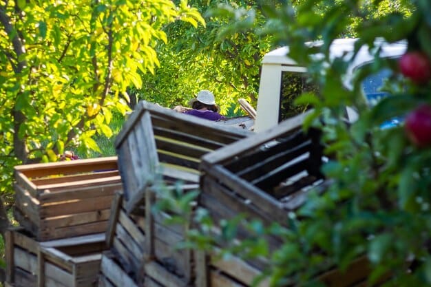 Build a Compost Bin: The Ultimate DIY Guide