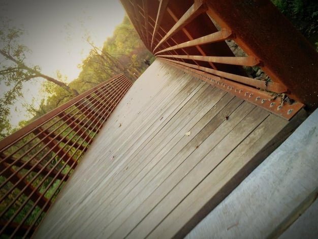 DIY Deck Repair: Revitalize Your Outdoor Space by Replacing Damaged Boards