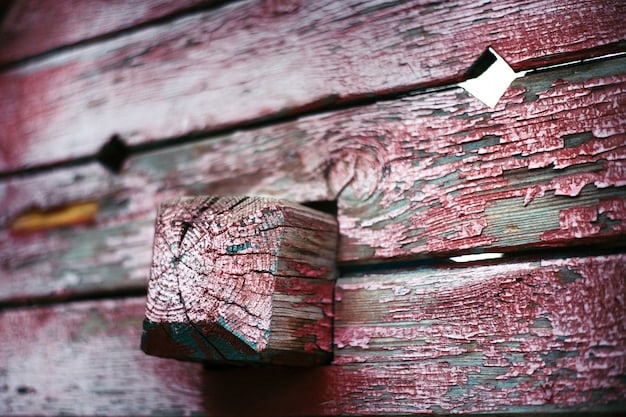 Close-up of severe wood rot on a deck board, with visible crumbling and discoloration. A screwdriver is gently probing the damaged area to illustrate the extent of the rot.